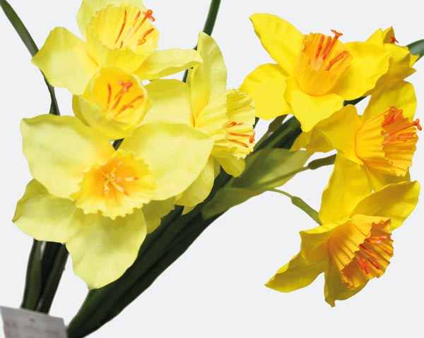 Osterglocken Strauß mit 3 Blüten, 7x42cm