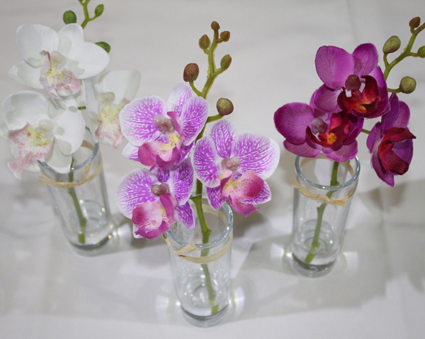 Elegant orchid in glass vase, 19.5cm decorated with a bow