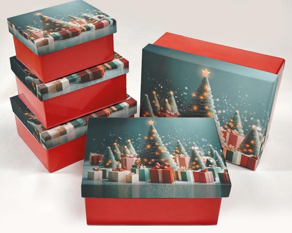 Geschenkboxen 5er-Set