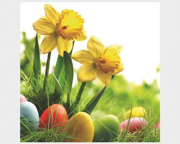 Premium Napkins 'Easter Bells' 20pcs 33X33cm