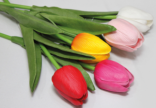 Tulip in a soft look, 4x30cm, lovingly and delicately