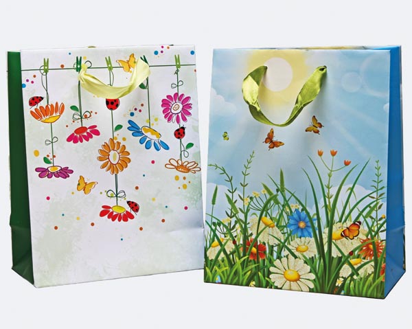 Geschenktasche matt 23x18x10cm, 2fach sortiert, mit