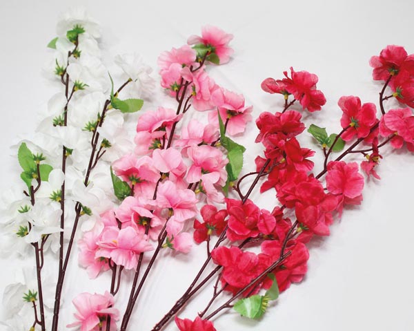 Apfel oder Kirschblüten-Zweig, je 3 Zweige