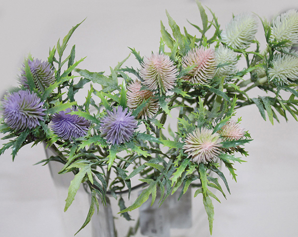 Milk thistle bush with 5 heads, 43x3.5cm, very beautiful,