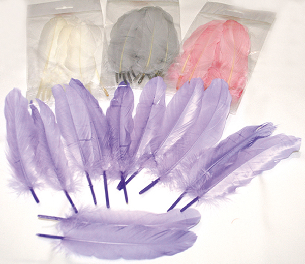 Real feathers set of 10! Long version (19cm)