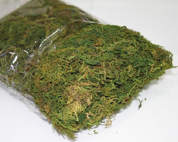 Dekomoss 16x12cm Beutel