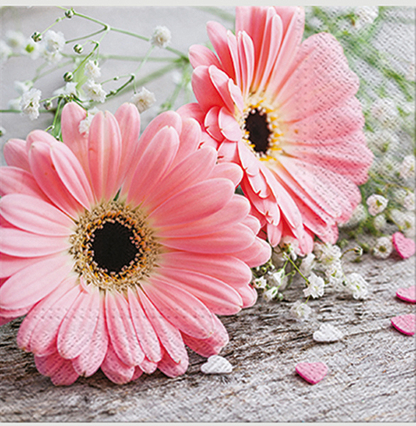 Premium Napkins 'Gerbera' 20pcs 33x33cm