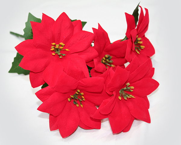 Branche de poinsettia XL avec 5 grandes fleurs, 28x21cm,