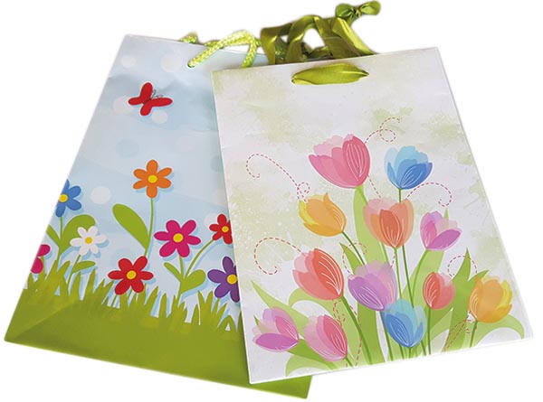 Gift bag 23x18cm, glossy, flowers twice