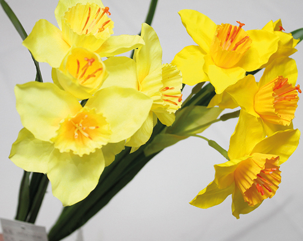 Daffodil bouquet with 3 flowers, 7x42cm, lovingly